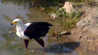 Parc Naledi