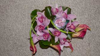 F&ecirc;te des m&egrave;res