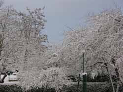 Caen sous la neige