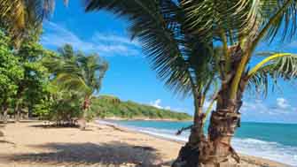 Plage des amandiers