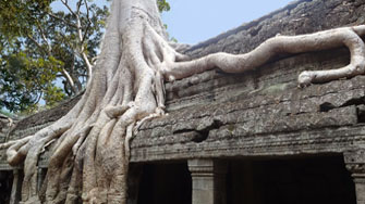 Ta Prohm