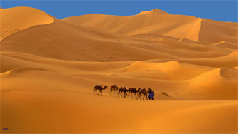 Sahara marocain