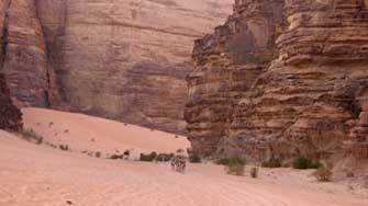 Wadi Rum