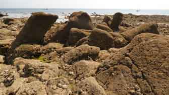 menhir