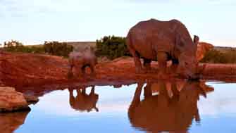 parc du Kruger
