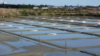 Marais salants