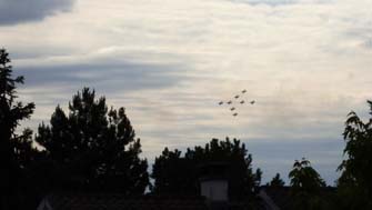 Patrouille de France