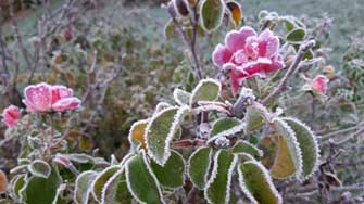 givre