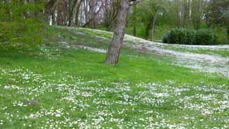 La colline de Verville