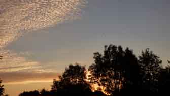 sunrise