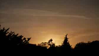 sunset