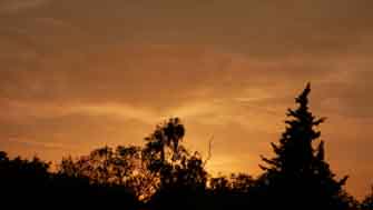 sunset