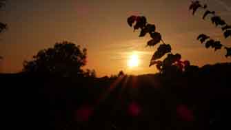 sunset
