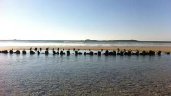 épave de la plage de Penthièvre