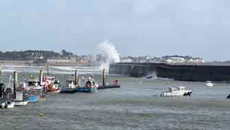 temp&ecirc;te Ingrid