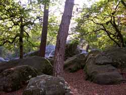 Fontainebleau