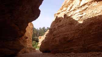 Canyon de Tamerza