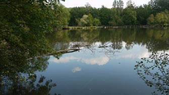 Les étangs de Vert Le Petit