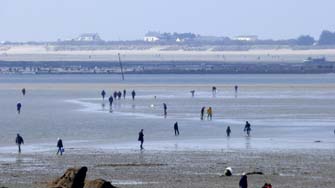 mar&eacute;e du si&egrave;cle