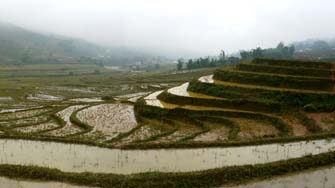 Les rizi&egrave;res de Sa Pa