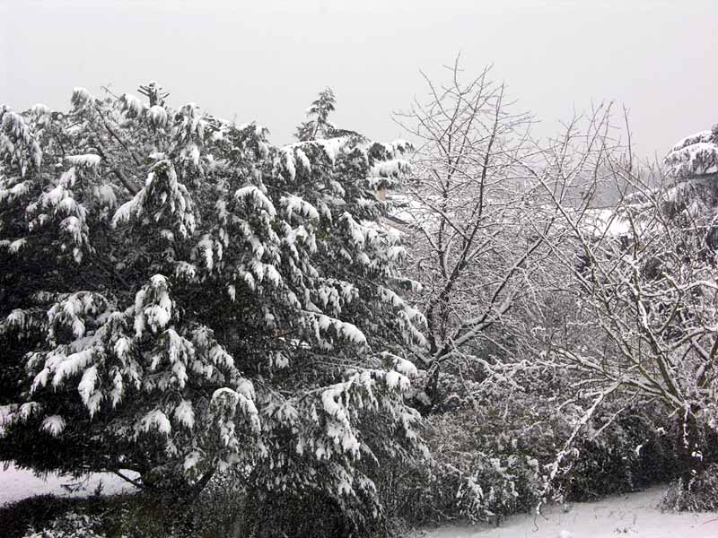 Mennecy sous la neige